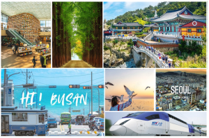 HÀ NỘI – BUSAN – SEOUL – ĐẢO NAMI  – INCHEON – THƯ VIỆN SÁCH