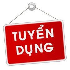 Vietriver Tour tuyển dụng kỹ thuật viên IT - Marketing