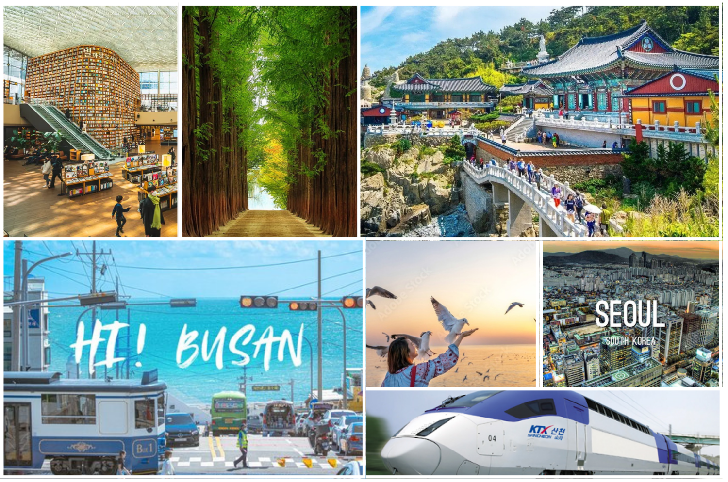 HÀ NỘI – BUSAN – SEOUL – ĐẢO NAMI  – INCHEON – THƯ VIỆN SÁCH