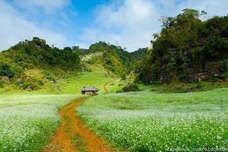 KHÁM PHÁ MỘC CHÂU – CẦU KÍNH BẠCH LONG