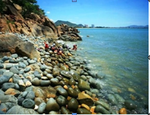 HÀ NỘI – QUY NHƠN – TUY HOÀ – KỲ CO – EO GIÓ – HOA VÀNG TRÊN CỎ XANH