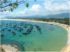 HÀ NỘI – QUY NHƠN – TUY HOÀ – KỲ CO – EO GIÓ – HOA VÀNG TRÊN CỎ XANH