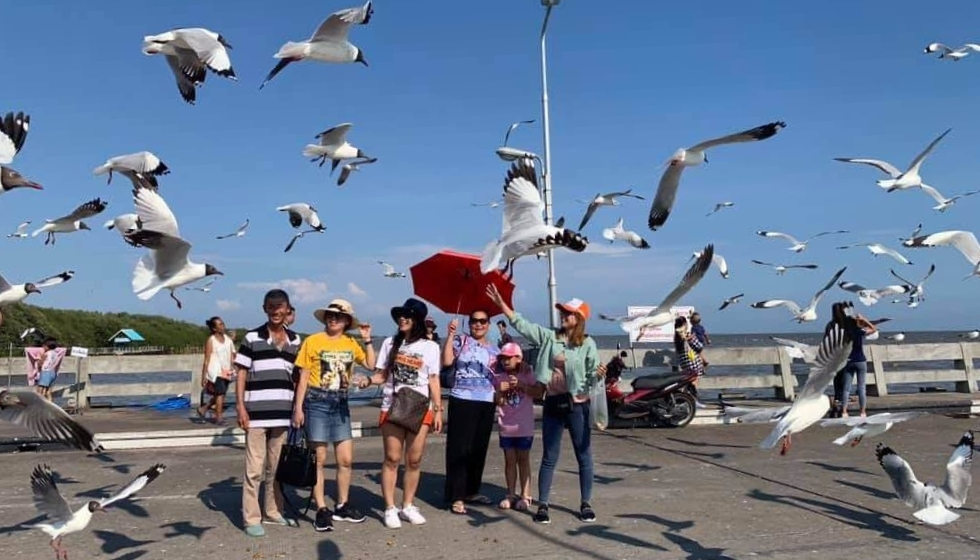 HÀ NỘI – BUSAN – SEOUL – ĐẢO NAMI  – INCHEON – THƯ VIỆN SÁCH