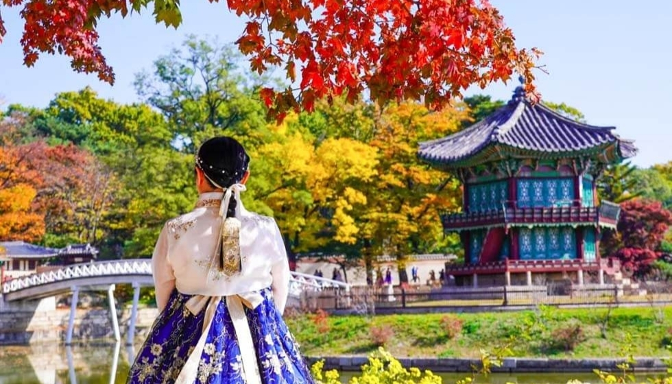 HÀ NỘI – BUSAN – SEOUL – ĐẢO NAMI  – INCHEON – THƯ VIỆN SÁCH